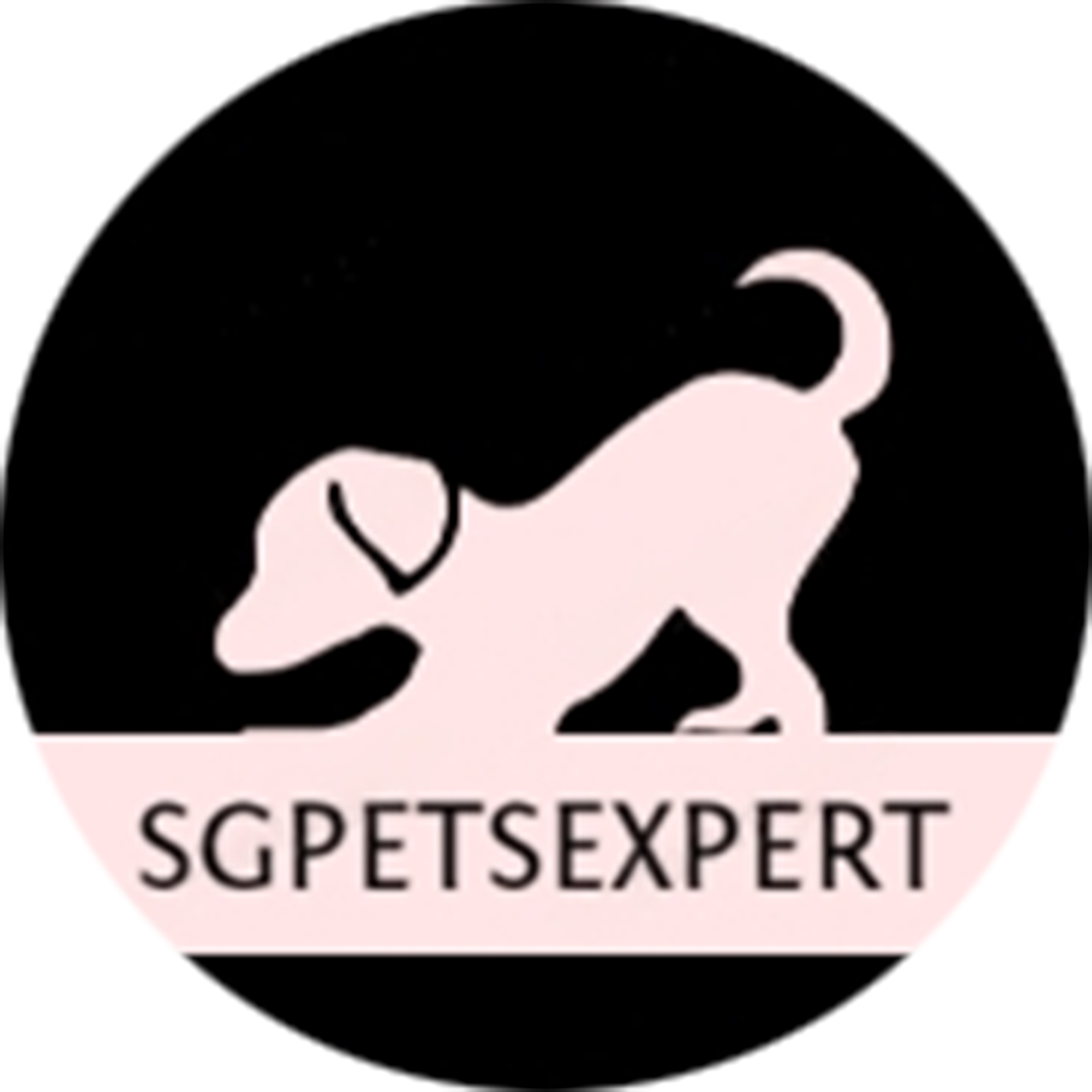 Sg Pets Expert